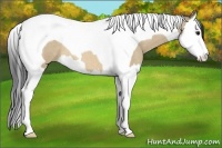 Horse Color:Bay Roan Dun Splash Tobiano