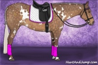 Horse Color:White Spotted Chocolate Silver Buckskin