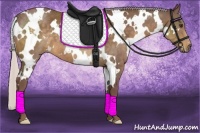 Horse Color:White Spotted Chocolate Silver Buckskin