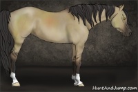 Horse Color:Liver Red Dun 