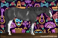 Horse Color:White Spotted Black Sabino Rabicano 