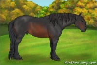 Horse Color:Brown 