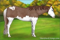 Horse Color:Red Roan Splash Varnish 