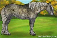 Horse Color:Chocolate Palomino Ice Onyx