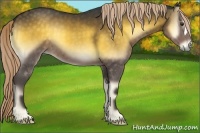 Horse Color:Chocolate Palomino Onyx 