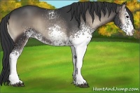 Horse Color:White Spotted Blue Onyx 