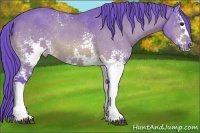 Horse Color:Watercolor White Spotted Bay Rabicano