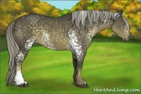 Horse Color:White Spotted Chocolate Palomino