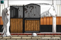 Horse Color:White Spotted Liver Chestnut Appaloosa 