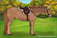 Horse Color:Chestnut Rabicano 