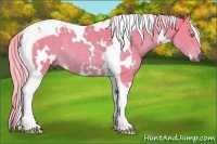 Horse Color:Watercolor White Spotted Chocolate Palomino Tobiano Rabicano