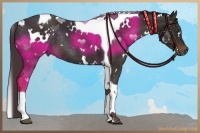 Horse Color:White Spotted Liver Chestnut Tobiano Rabicano