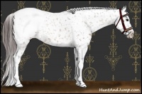 Horse Color:Bay Snowcap 