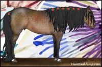 Horse Color:Chocolate Bay 