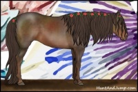 Horse Color:Liver Chestnut 