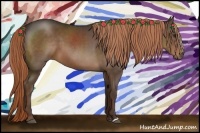 Horse Color:Liver Chestnut 