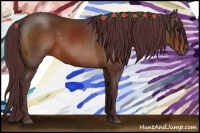 Horse Color:Chocolate Bay 