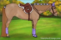 Horse Color:Chestnut Rabicano 