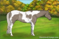 Horse Color:Silver Smoky Black Tobiano Rabicano 