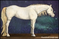 Horse Color:Buckskin Roan Pearl and Buckskin Roan Pearl