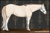 Horse Color:Buckskin Roan Pearl  and Buckskin Roan Pearl Splash 