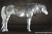 Horse Color:Silver Smoky Black Chinchilla Splash