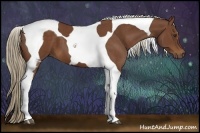 Horse Color:Chestnut Tobiano