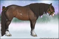 Horse Color:Liver Chestnut Sabino