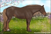 Horse Color:Liver Chestnut Sabino Rabicano
