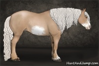 Horse Color:Silver Blue Roan Pearl Sabino Frame Rabicano