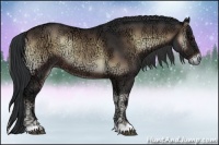 Horse Color:Brown Ice Onyx Rabicano 