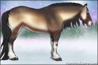 Horse Color:Brown Onyx 