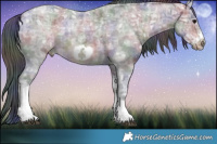 Horse Color:Nacre Bay Ice Sabino Tobiano Frame Rabicano 