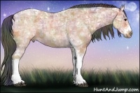 Horse Color:Nacre Bay Ice Sabino Tobiano Frame Rabicano