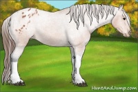 Horse Color:Bay Tobiano Varnish