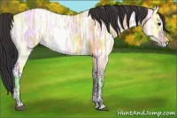 Horse Color:Bay Ice Dun