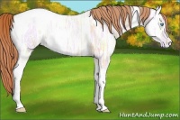 Horse Color:Buckskin Ice Pearl Tobiano