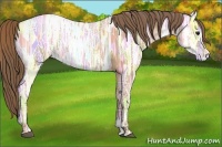 Horse Color:Black Ice Pearl 