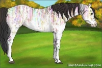 Horse Color:White Spotted Bay Ice Tobiano