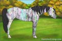 Horse Color:Black Ice