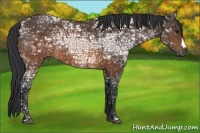 Horse Color:Brown Ice 