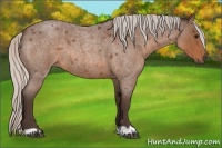 Horse Color:Silver Brown Roan 