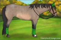 Horse Color:Buckskin Roan 