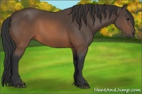 Horse Color:Brown 