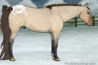 Horse Color:Brown Roan Dun Varnish 