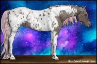 Horse Color:Painted Silver Bay Ice Tobiano Appaloosa 