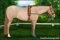Horse Color:Bay Roan Pearl 