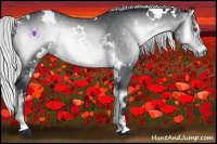 Horse Color:White Spotted Silver Brown Chinchilla Onyx 