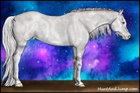 Horse Color:White Spotted Chocolate Silver Black Chinchilla Pearl