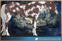 Horse Color:White Spotted Chocolate Silver Black Chinchilla 